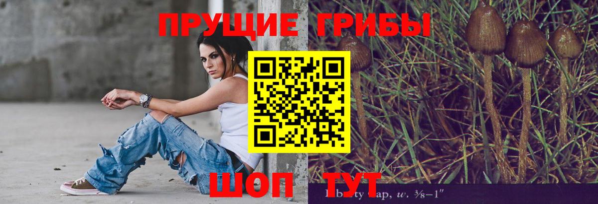 Карталы  даркнет сайт  Вход с VPN  Псилоцибиновые грибы прущие грибы 